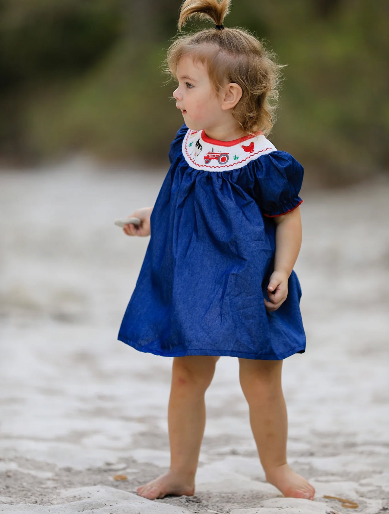 Girls Farm Smocking Embroidered Blue Dress